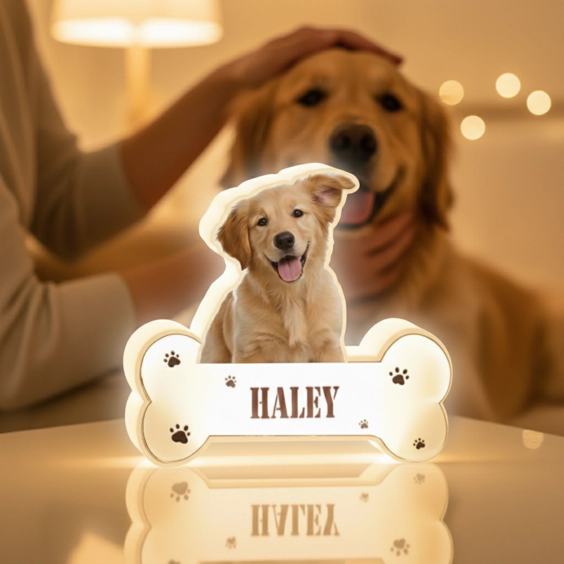 2caabd5116d145e33900af50c068a138