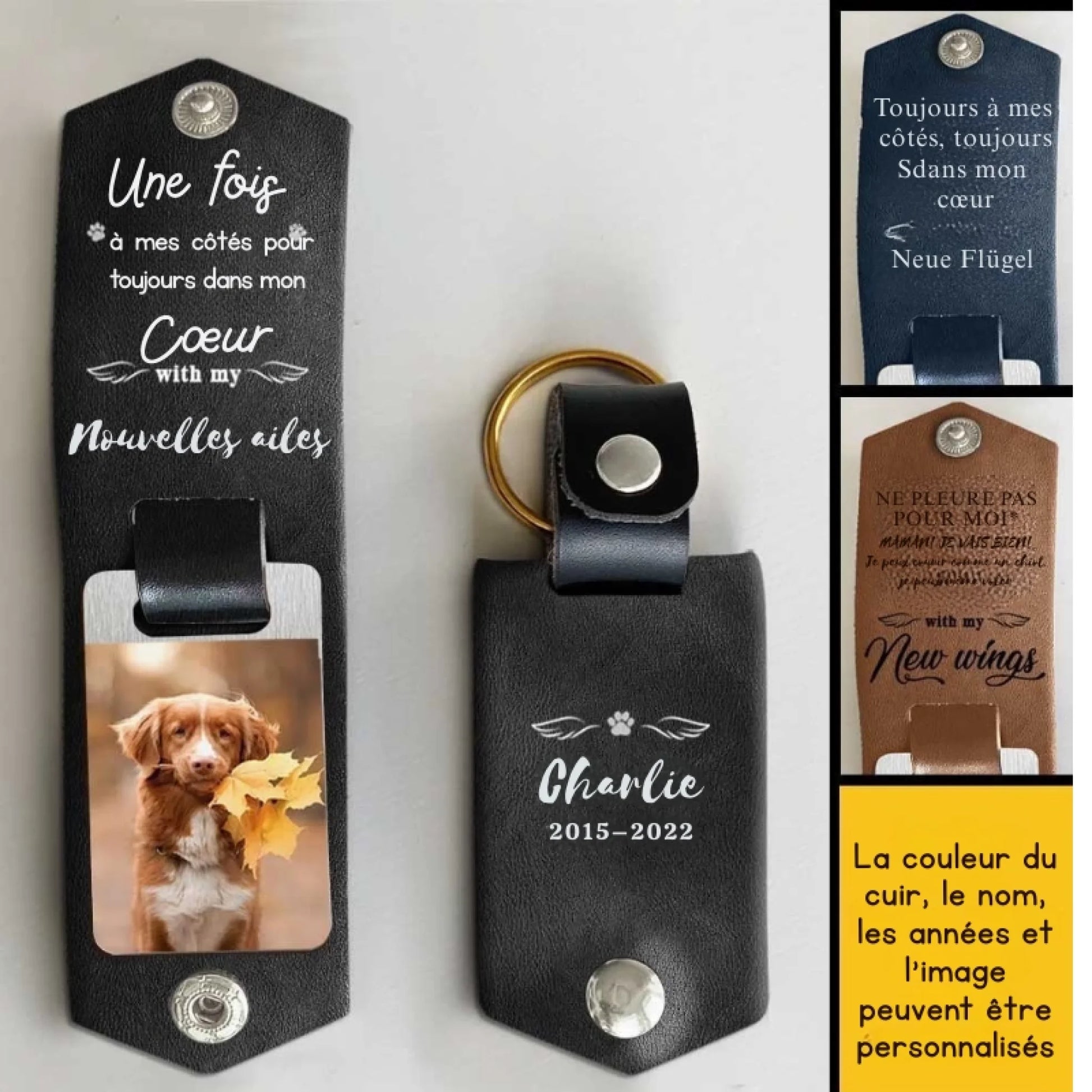 （法语）（法语）（法语）（德语）（德语）（德语）