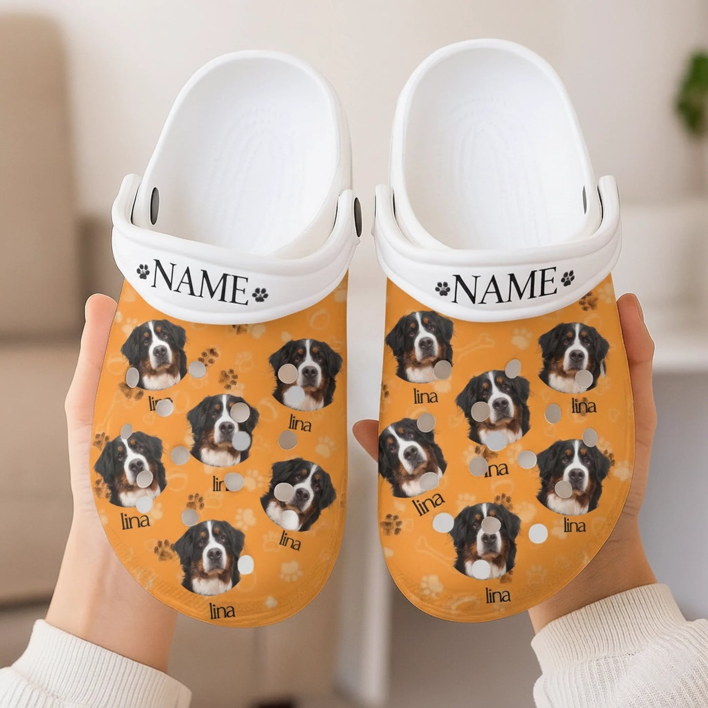 Gemini_Generated_Image_ffaobxffaobxffao (1)