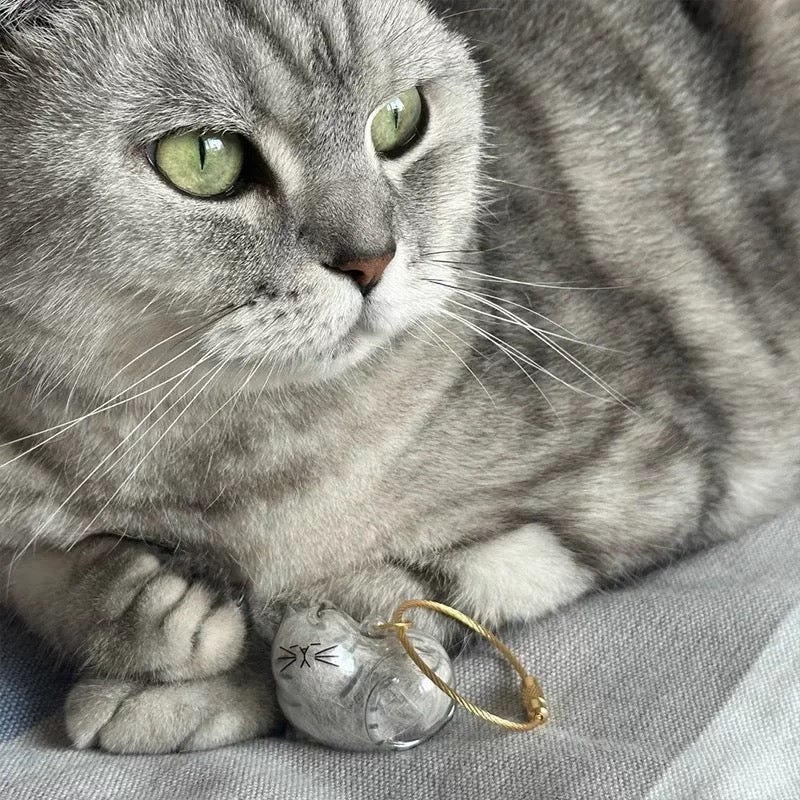 Pendentif collection fourrure de chat – souvenir personnalisé pour les amoureux des chats